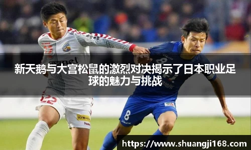 新天鹅与大宫松鼠的激烈对决揭示了日本职业足球的魅力与挑战